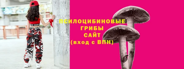 a pvp Абдулино