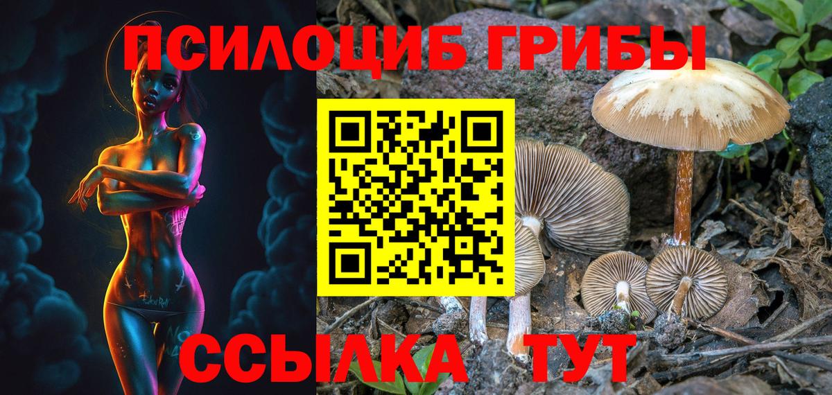 Псилоцибиновые грибы Psilocybine cubensis Саратов